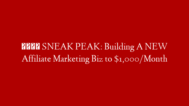 👀 SNEAK PEAK:  Building A NEW Affiliate Marketing Biz to $1,000/Month