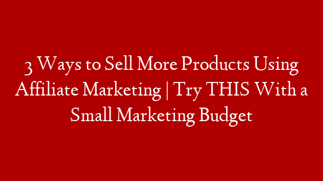 3 Ways to Sell More Products Using Affiliate Marketing | Try THIS With a Small Marketing Budget post thumbnail image