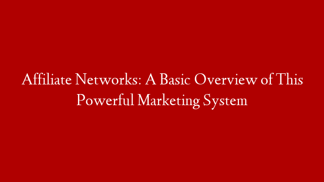 Affiliate Networks: A Basic Overview of This Powerful Marketing System