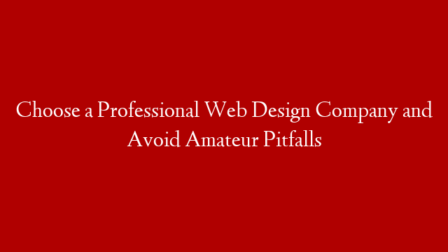 Choose a Professional Web Design Company and Avoid Amateur Pitfalls