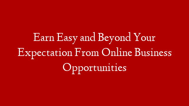 Earn Easy and Beyond Your Expectation From Online Business Opportunities