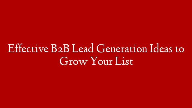 Effective B2B Lead Generation Ideas to Grow Your List post thumbnail image