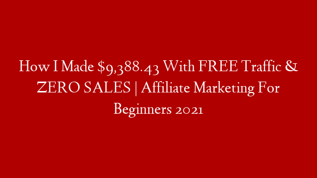 How I Made $9,388.43 With FREE Traffic & ZERO SALES | Affiliate Marketing For Beginners 2021
