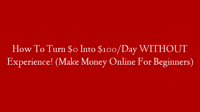 How To Turn $0 Into $100/Day WITHOUT Experience! (Make Money Online For Beginners)