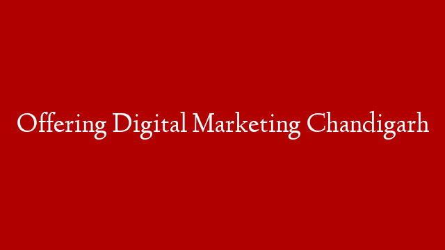 Offering Digital Marketing Chandigarh
