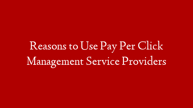 Reasons to Use Pay Per Click Management Service Providers