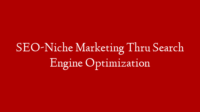 SEO-Niche Marketing Thru Search Engine Optimization