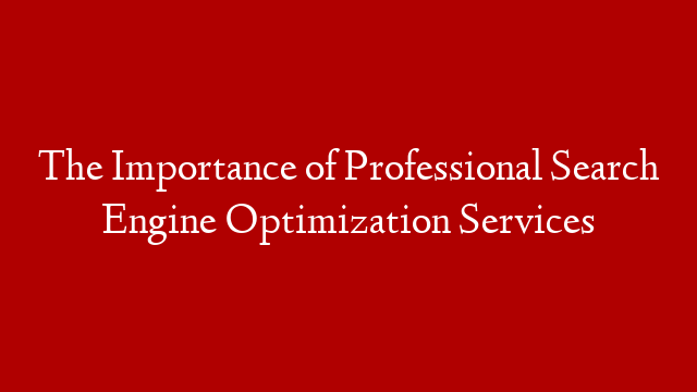 The Importance of Professional Search Engine Optimization Services