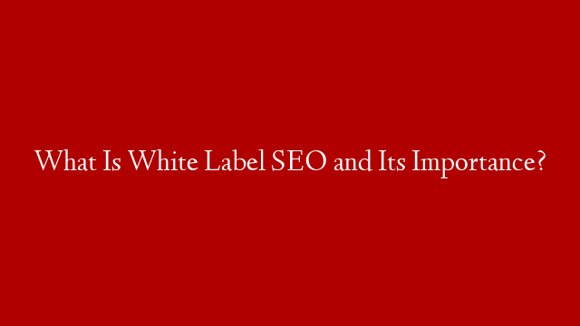 What Is White Label SEO and Its Importance?