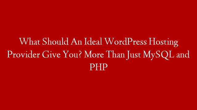 What Should An Ideal WordPress Hosting Provider Give You? More Than Just MySQL and PHP