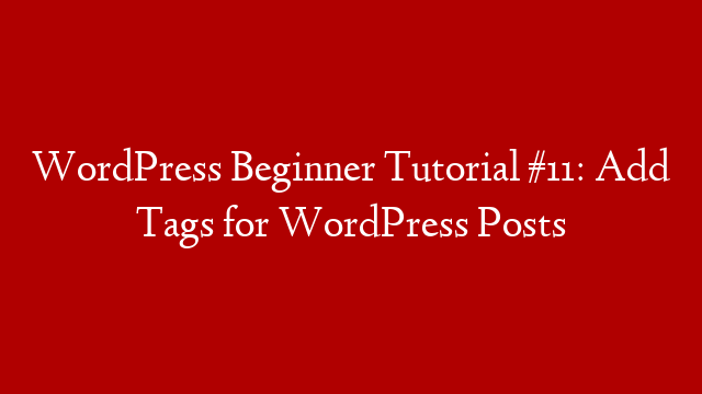 WordPress Beginner Tutorial #11: Add Tags for WordPress Posts