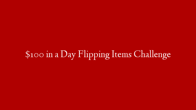$100 in a Day Flipping Items Challenge