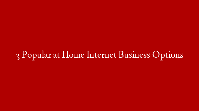 3 Popular at Home Internet Business Options
