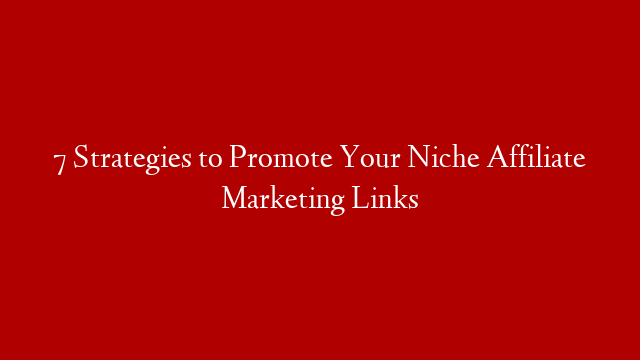 7 Strategies to Promote Your Niche Affiliate Marketing Links