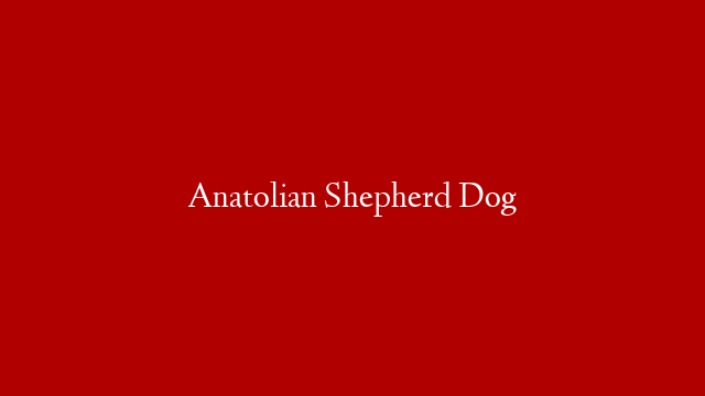 Anatolian Shepherd Dog post thumbnail image