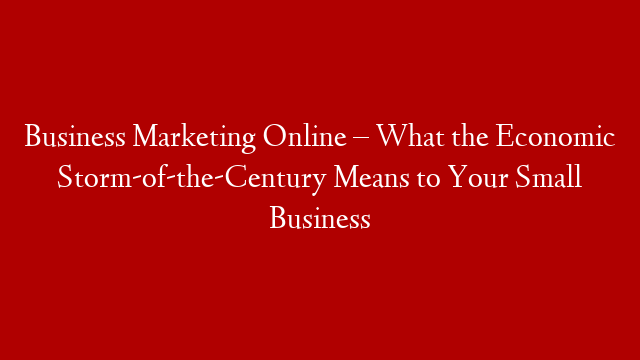 Business Marketing Online – What the Economic Storm-of-the-Century Means to Your Small Business