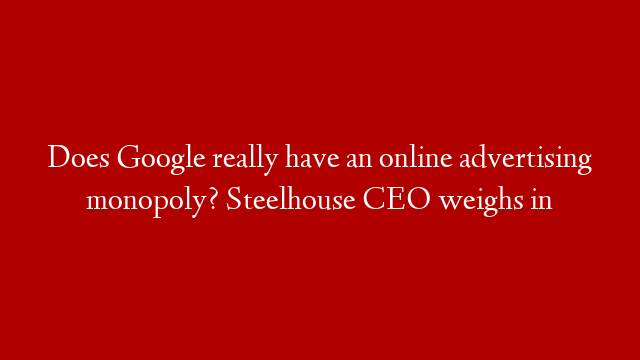 Does Google really have an online advertising monopoly? Steelhouse CEO weighs in