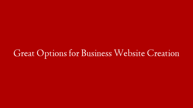Great Options for Business Website Creation