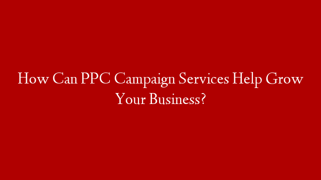 How Can PPC Campaign Services Help Grow Your Business?