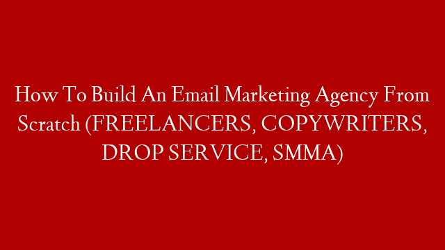 How To Build An Email Marketing Agency From Scratch (FREELANCERS, COPYWRITERS, DROP SERVICE, SMMA)