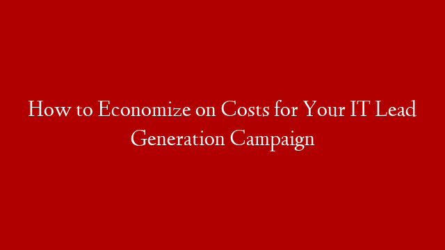 How to Economize on Costs for Your IT Lead Generation Campaign