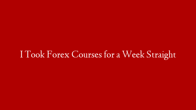 I Took Forex Courses for a Week Straight