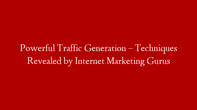 Powerful Traffic Generation – Techniques Revealed by Internet Marketing Gurus