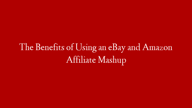 The Benefits of Using an eBay and Amazon Affiliate Mashup
