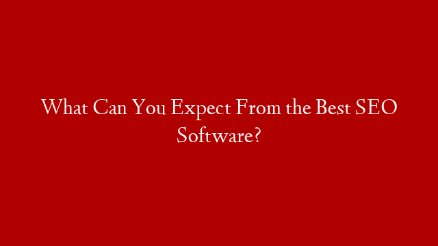 What Can You Expect From the Best SEO Software?