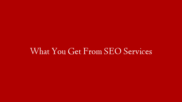 What You Get From SEO Services