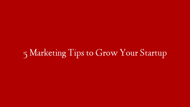 5 Marketing Tips to Grow Your Startup