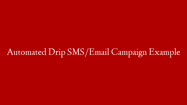 Automated Drip SMS/Email Campaign Example