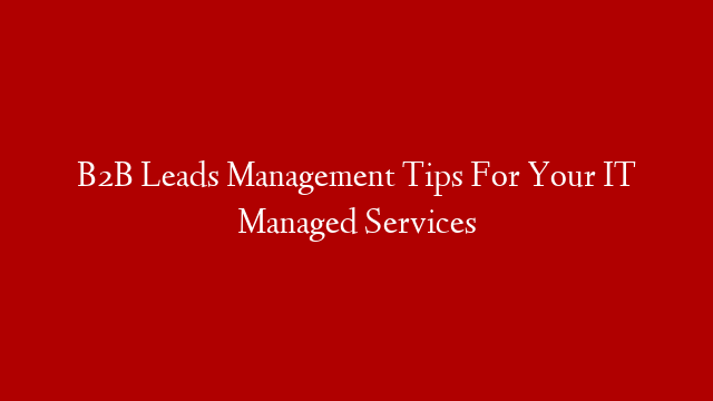 B2B Leads Management Tips For Your IT Managed Services