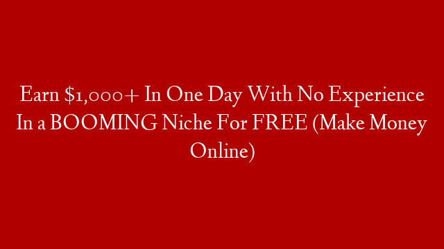Earn $1,000+ In One Day With No Experience In a BOOMING Niche For FREE (Make Money Online)