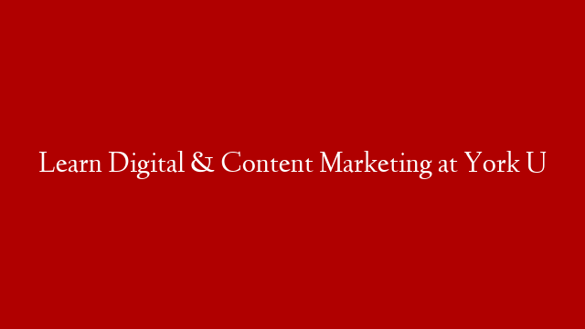 Learn Digital & Content Marketing at York U