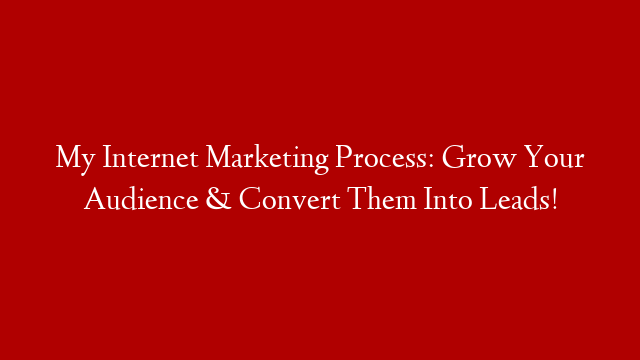 My Internet Marketing Process: Grow Your Audience & Convert Them Into Leads!