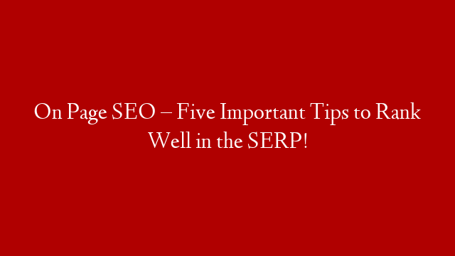 On Page SEO – Five Important Tips to Rank Well in the SERP!