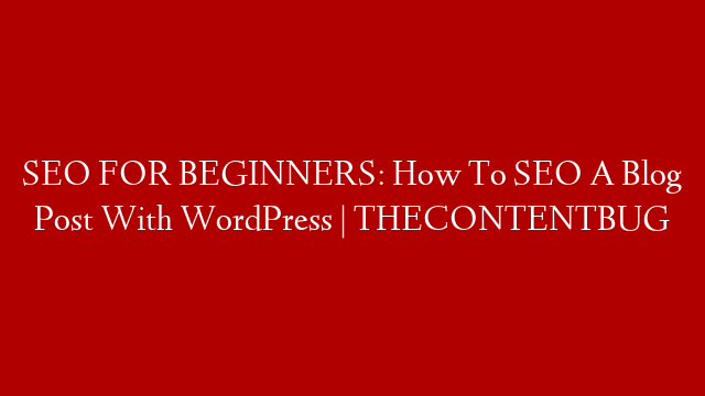 SEO FOR BEGINNERS: How To SEO A Blog Post With WordPress | THECONTENTBUG