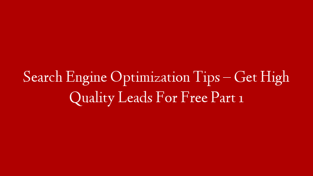 Search Engine Optimization Tips – Get High Quality Leads For Free Part 1
