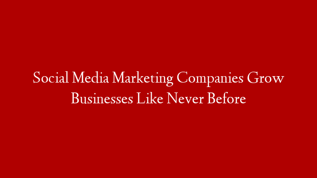 Social Media Marketing Companies Grow Businesses Like Never Before