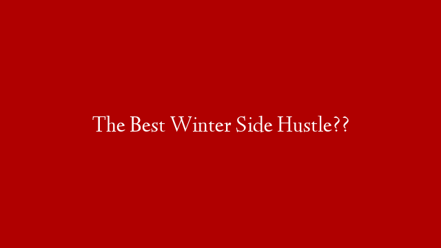The Best Winter Side Hustle??