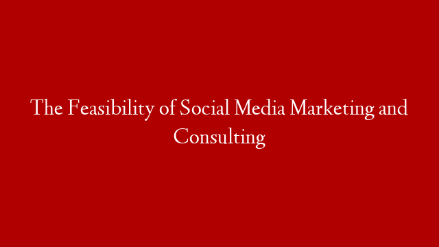 The Feasibility of Social Media Marketing and Consulting