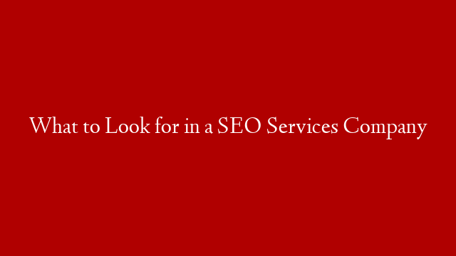 What to Look for in a SEO Services Company