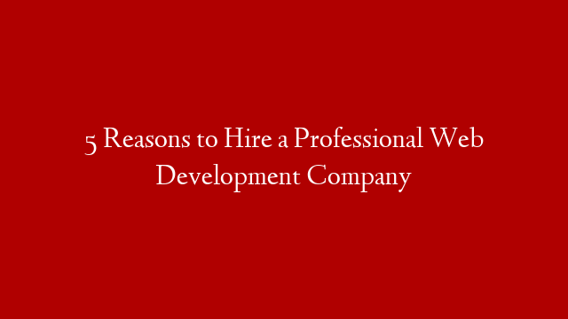 5 Reasons to Hire a Professional Web Development Company