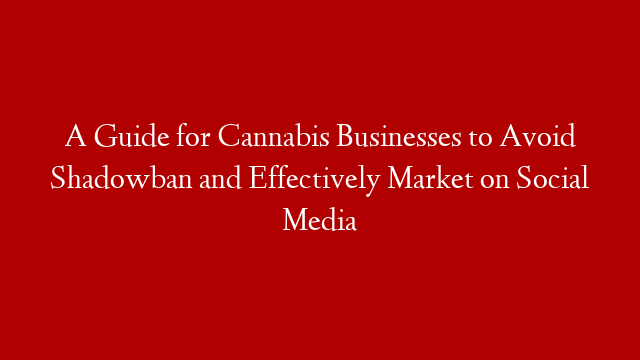A Guide for Cannabis Businesses to Avoid Shadowban and Effectively Market on Social Media