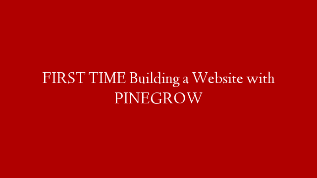 FIRST TIME Building a Website with PINEGROW