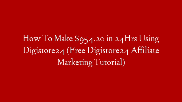 How To Make $954.20 in 24Hrs Using Digistore24 (Free Digistore24 Affiliate Marketing Tutorial) post thumbnail image