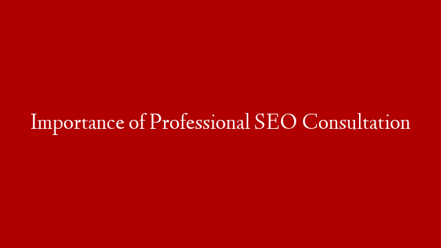 Importance of Professional SEO Consultation