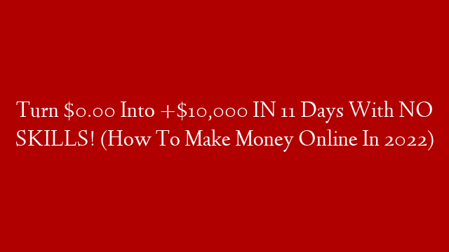 Turn $0.00 Into +$10,000 IN 11 Days With NO SKILLS! (How To Make Money Online In 2022)