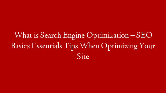 What is Search Engine Optimization – SEO Basics Essentials Tips When Optimizing Your Site